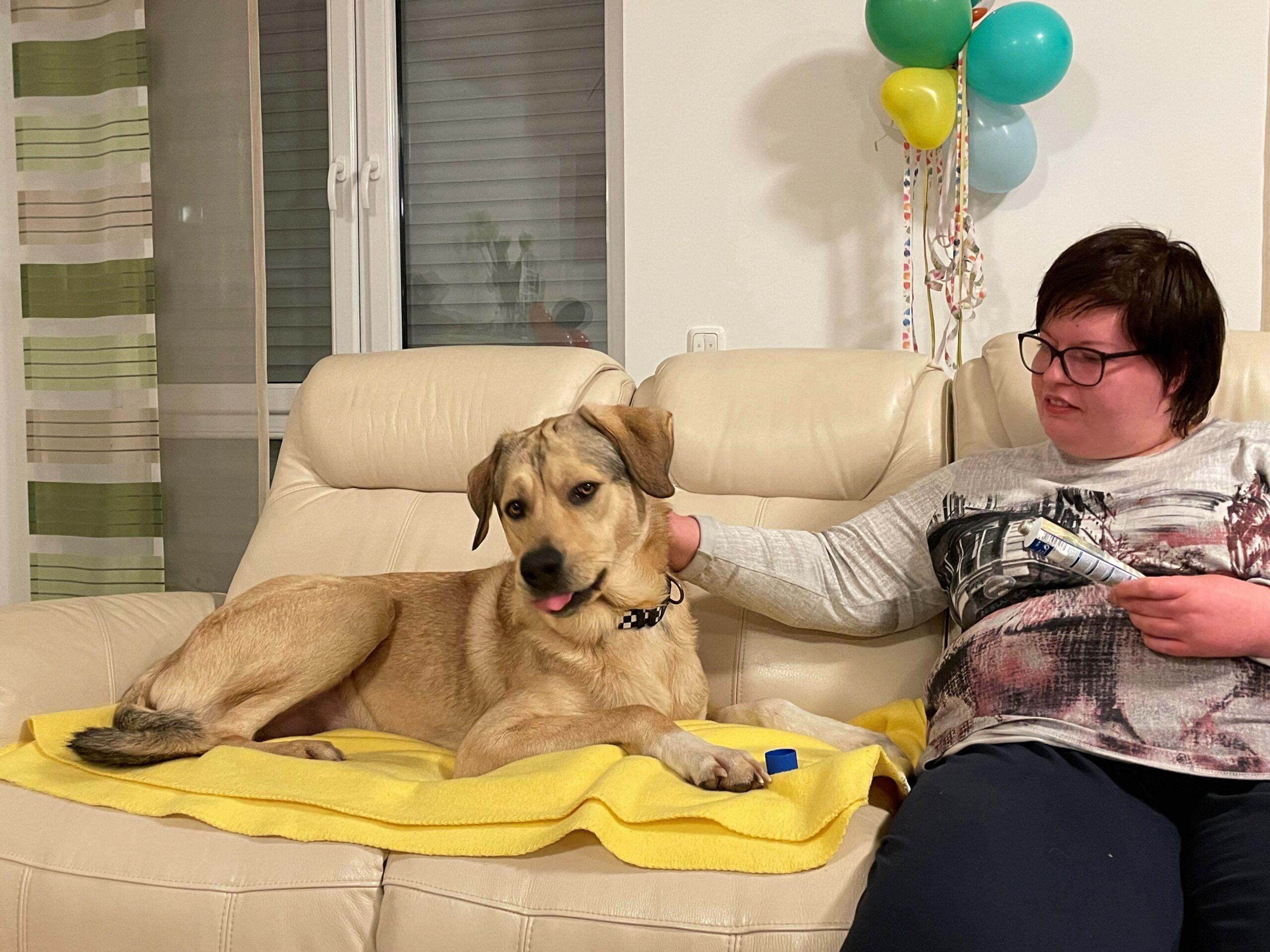 Deine freie Zeit … mit Hund